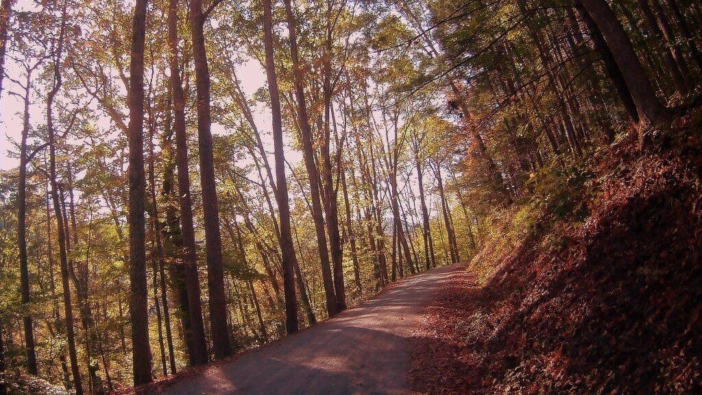 Photo: Heading Up To The Blue Ridge Parkway Photo: Heading Up To The Blue Ridge Parkway