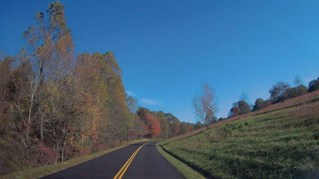 Photo: Start Of Color Photo: Start Of Color