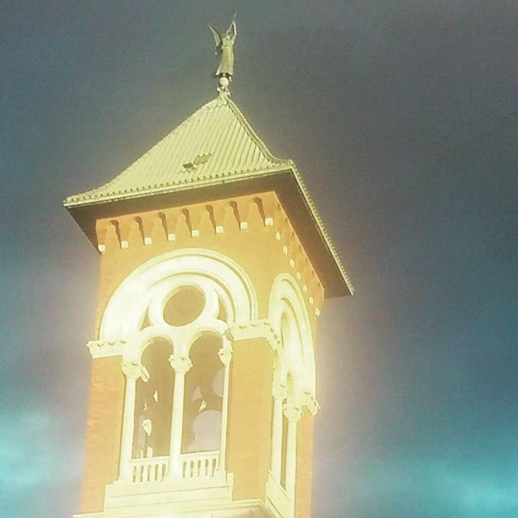 Photo: Sunlight Photo: Sunlight