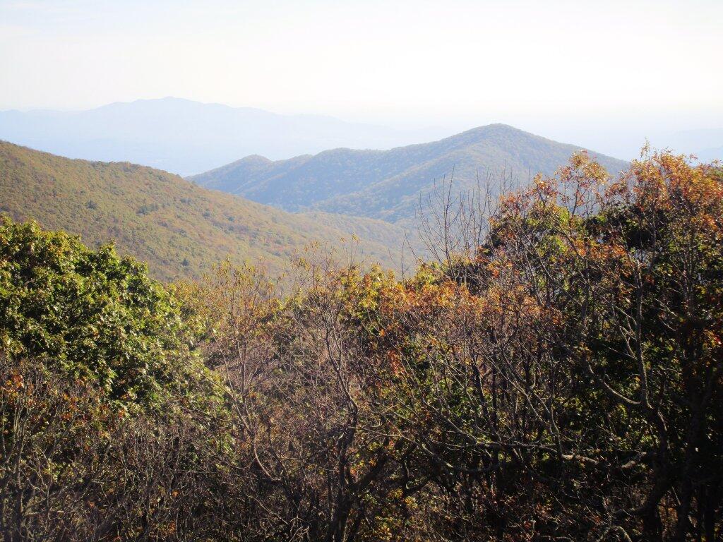 Photo: Apple Orchard Vista Photo: Apple Orchard Vista