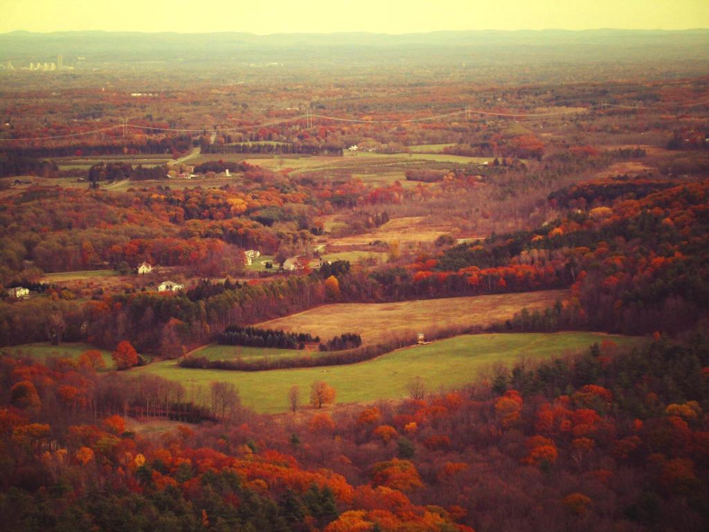 Photo: Guilderland With Albany In The Distance Photo: Guilderland With Albany In The Distance