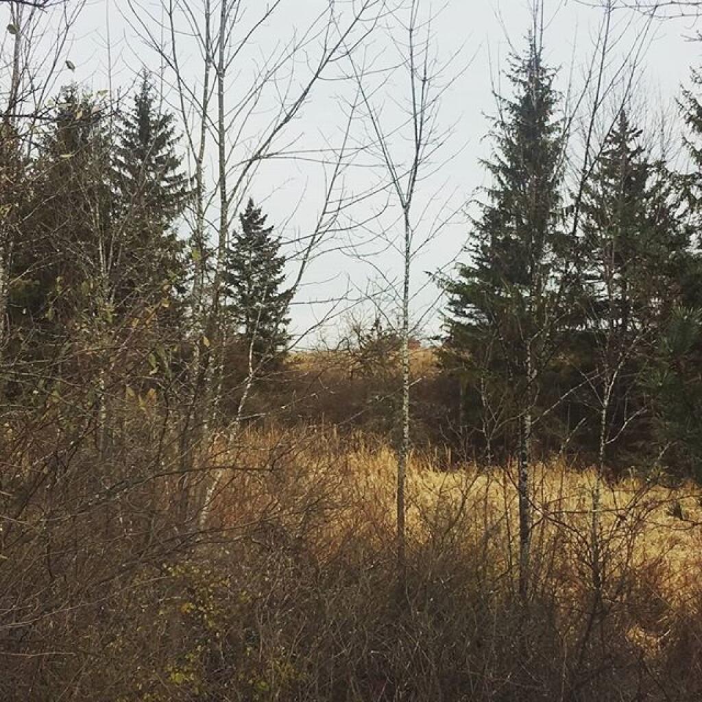 Photo: Quiet November Day Photo: Quiet November Day