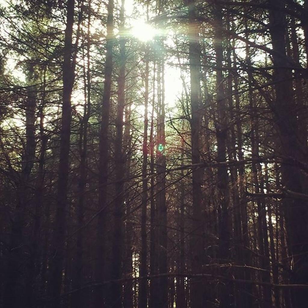 Photo: November Sun Photo: November Sun
