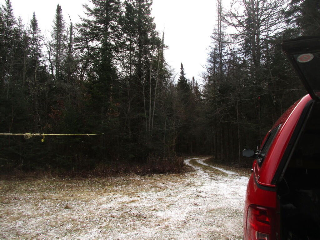 Photo: Campsite Driveway Photo: Campsite Driveway