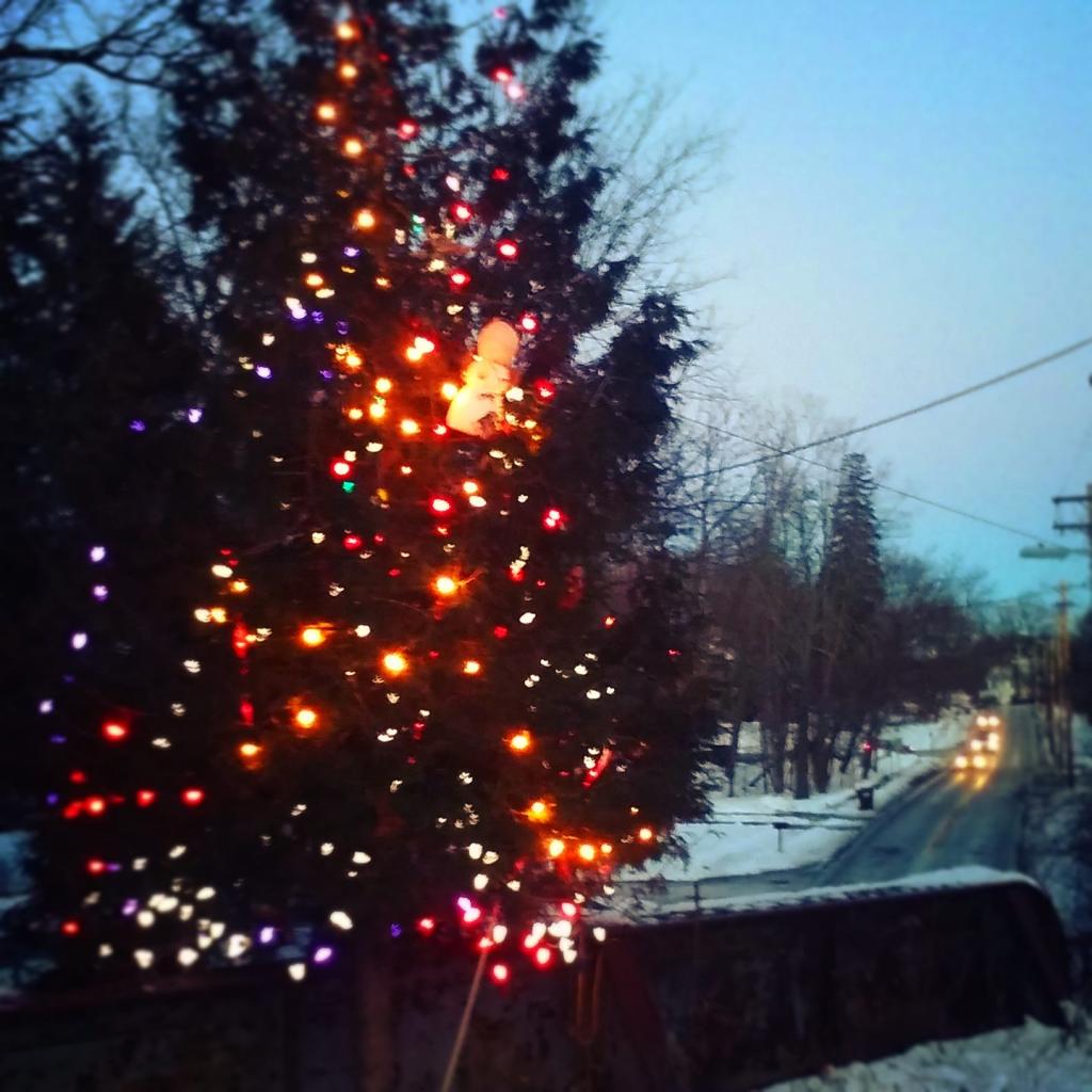 Photo: The Christmas tree on the Slingerlands Rail Trail Photo: The Christmas tree on the Slingerlands Rail Trail