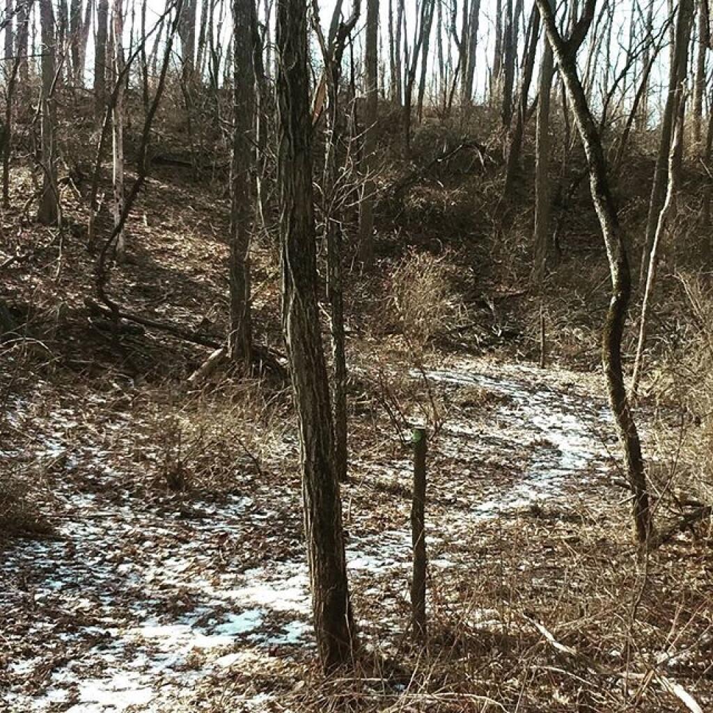 Photo: Parts of the new trail are quite rugged Photo: Parts of the new trail are quite rugged