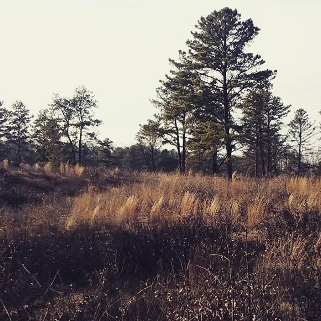 Photo: One of the many nice views along Kings Road Barrens Photo: One of the many nice views along Kings Road Barrens