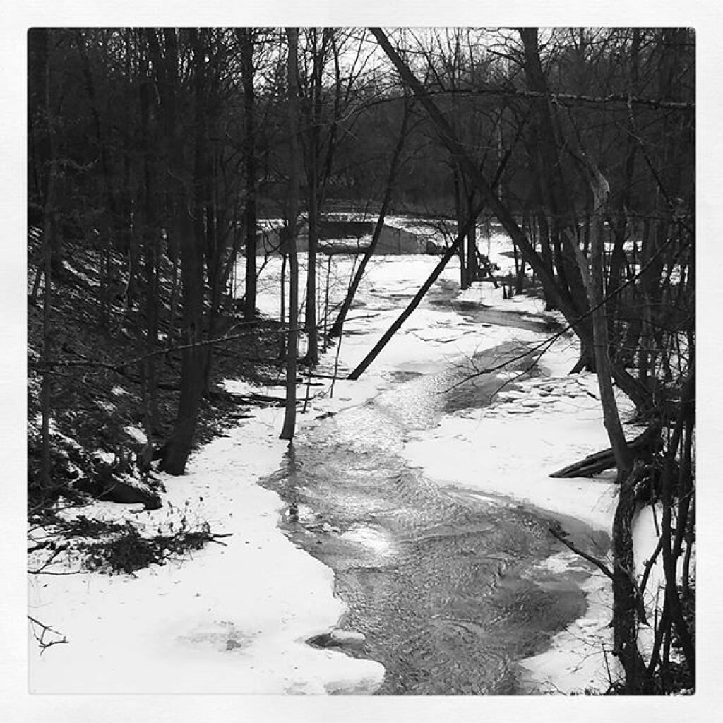 Photo: Crossing the Vly Creek Photo: Crossing the Vly Creek