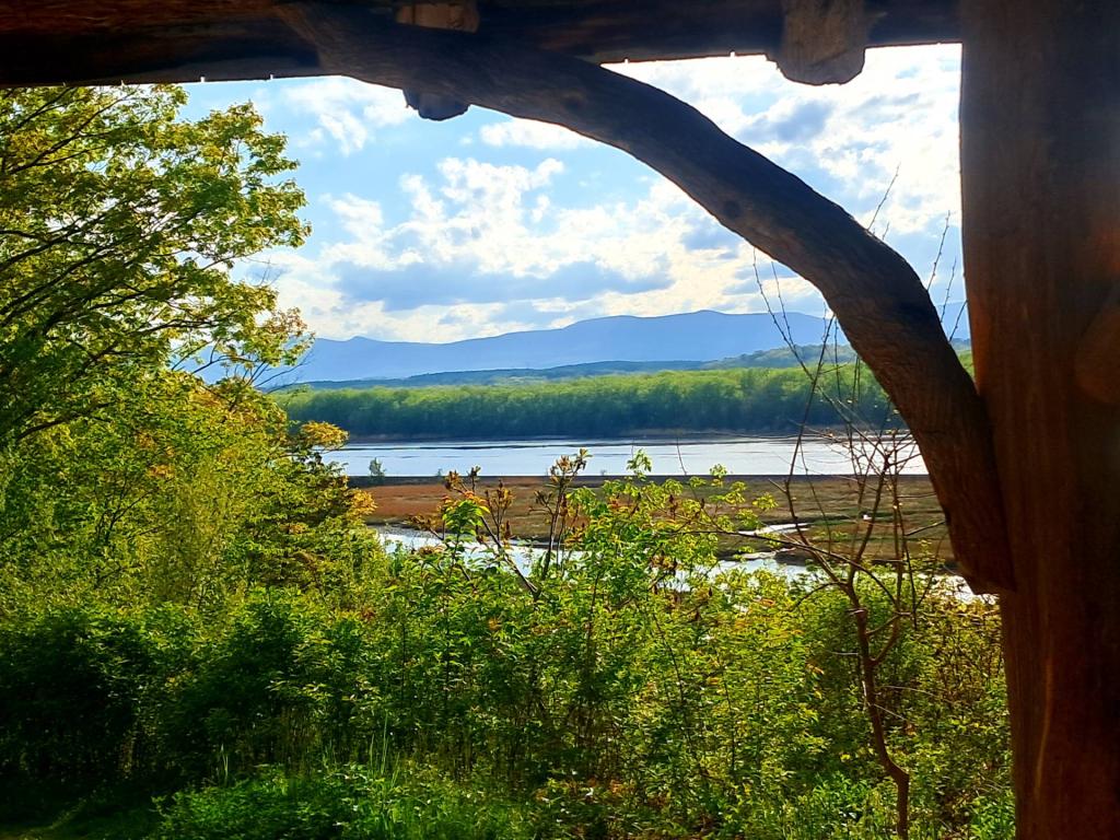 Photo: Archway