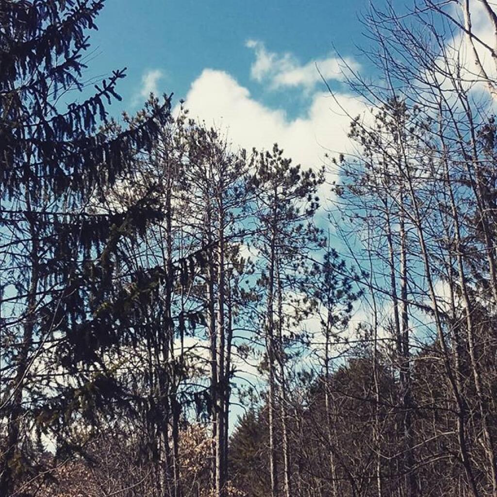 Photo: Turned out to be a beautiful day Photo: Turned out to be a beautiful day