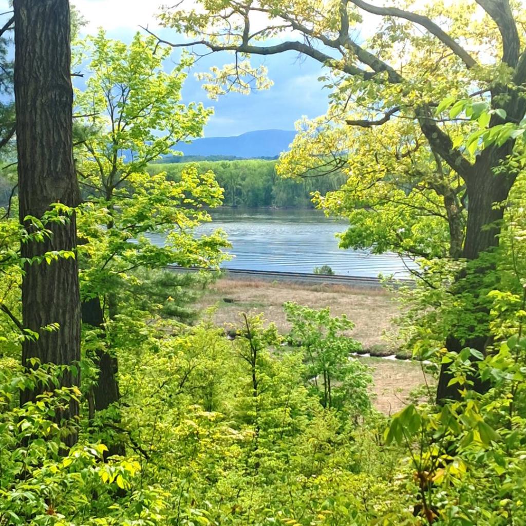 Photo: River