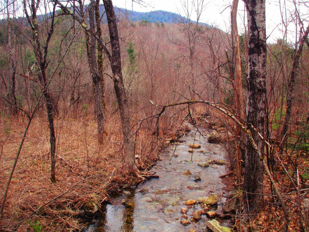 Photo: Kibby Brook Off Old Route 8 (Now Driveway to Campsite 3) Photo: Kibby Brook Off Old Route 8 (Now Driveway to Campsite 3)