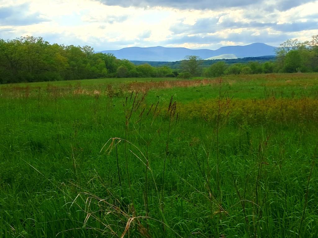 Photo: Catskills [Expires May 24 2026]