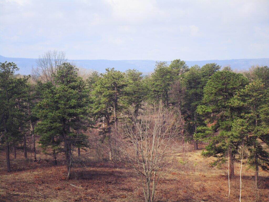 Photo: Before Spring Photo: Before Spring