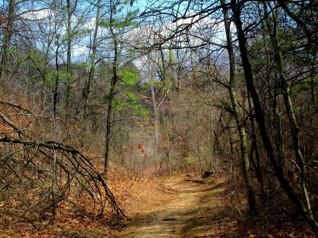 Photo: Path To Pond Photo: Path To Pond