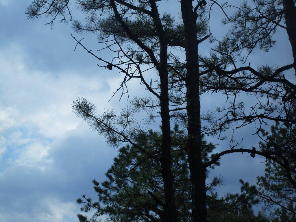 Photo: Thunder Approaches Photo: Thunder Approaches