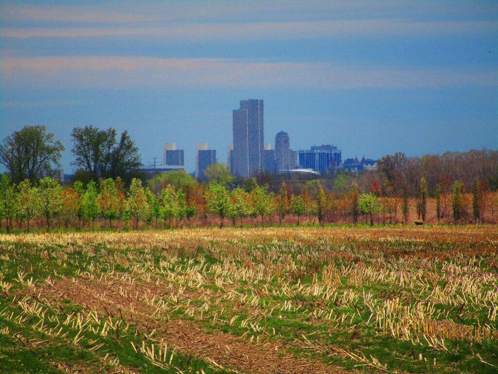 Photo: Albany, NY Photo: Albany, NY