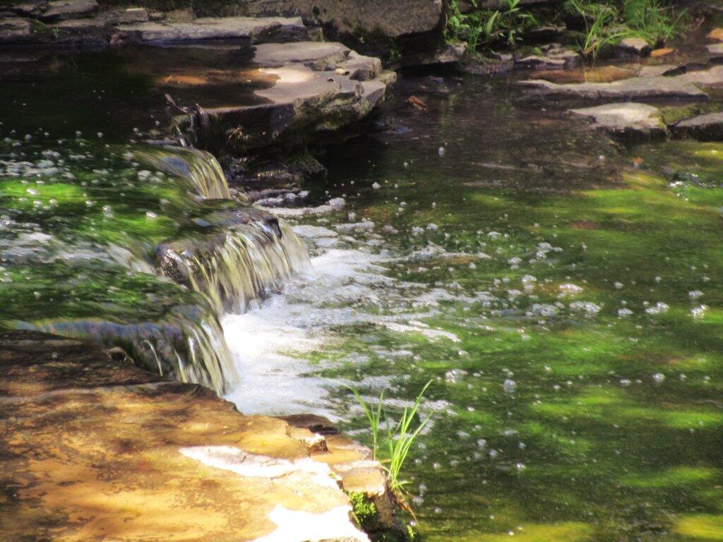 Photo: Bubbler Photo: Bubbler