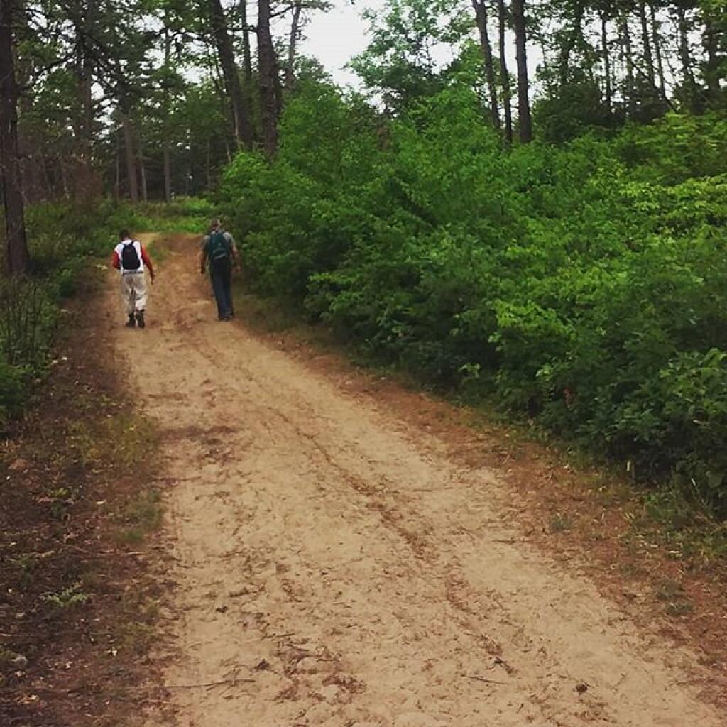 Photo: Sand Trail Photo: Sand Trail
