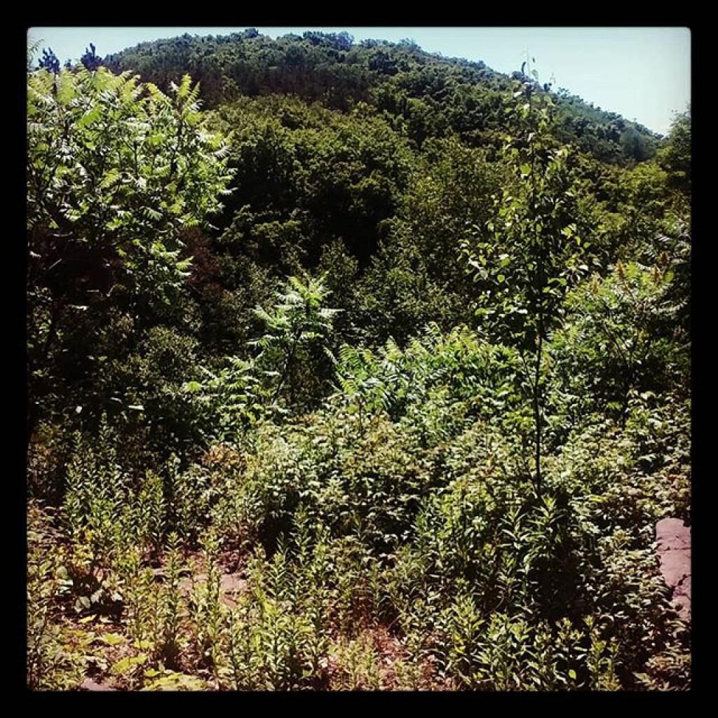 Photo: Above the gravel pit Photo: Above the gravel pit