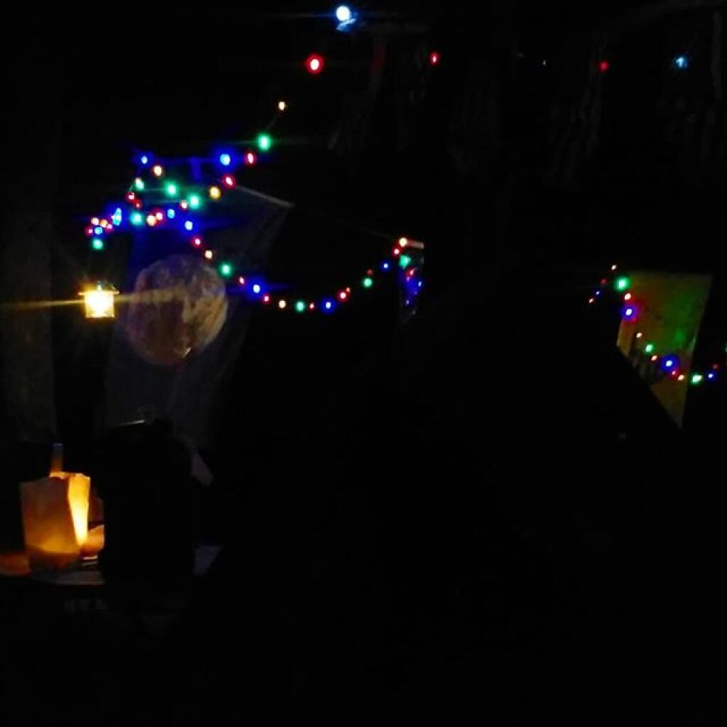 Photo: View from my hammock tonight Photo: View from my hammock tonight