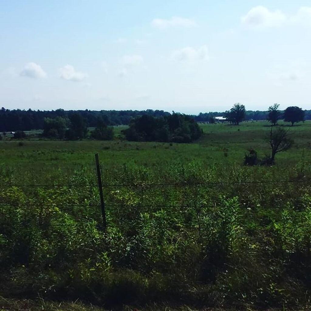 Photo: Beautiful morning! Photo: Beautiful morning!