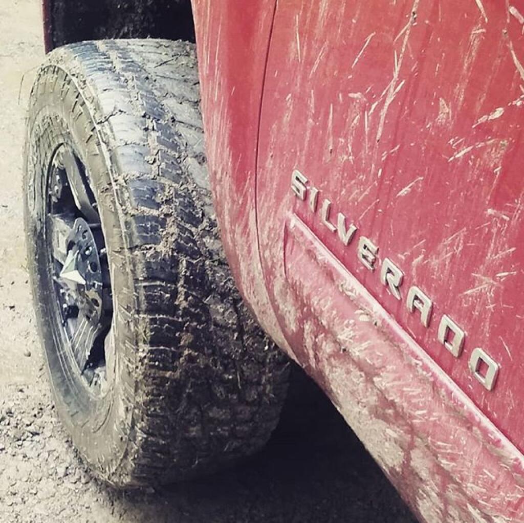 Photo: Mud Photo: Mud