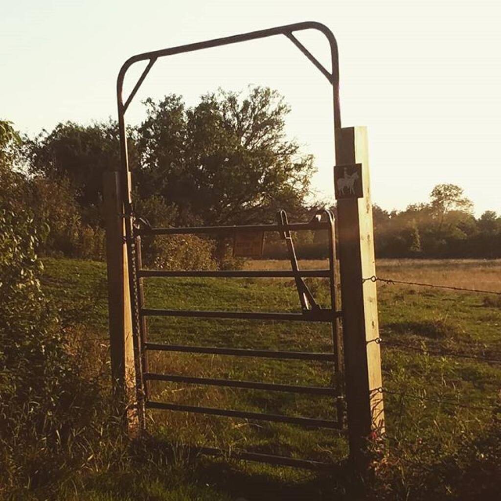 Photo: Don't let the cows out Photo: Don't let the cows out