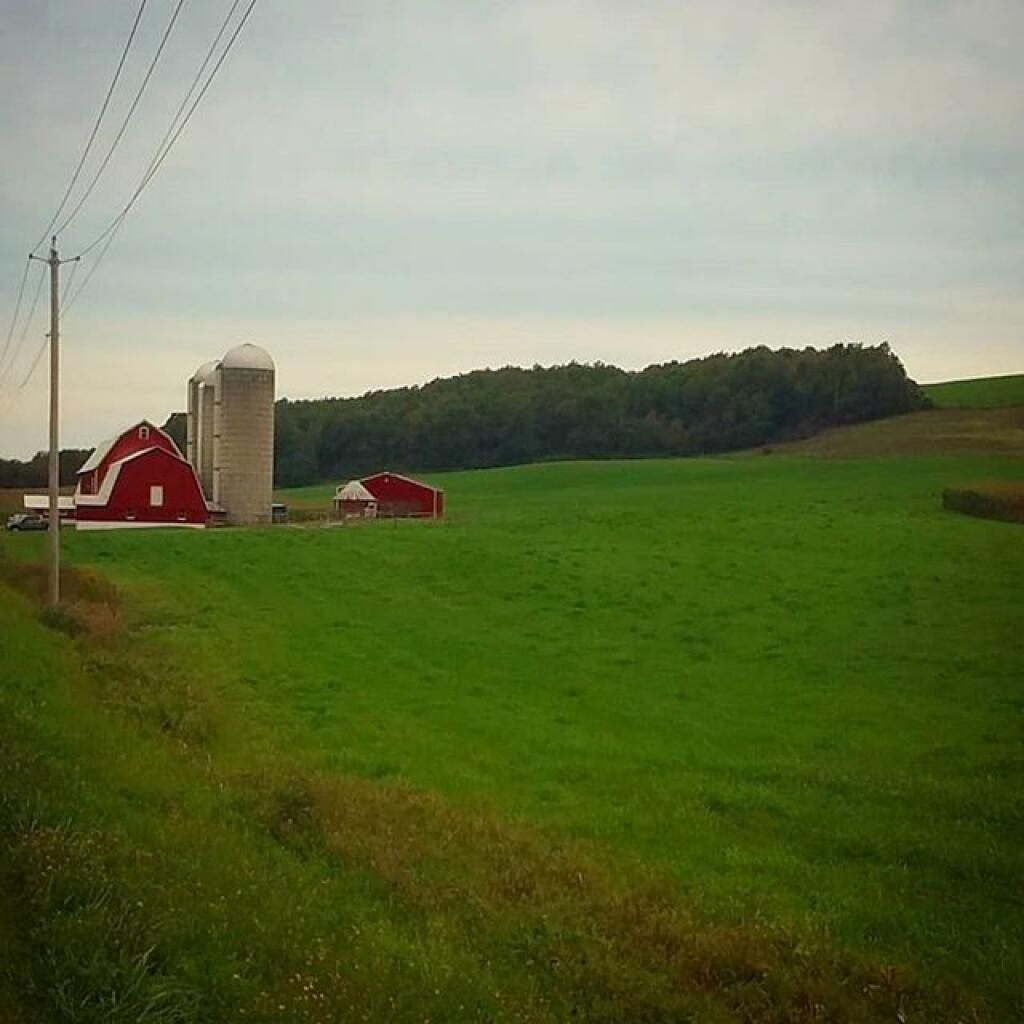 Photo: The back roads Photo: The back roads