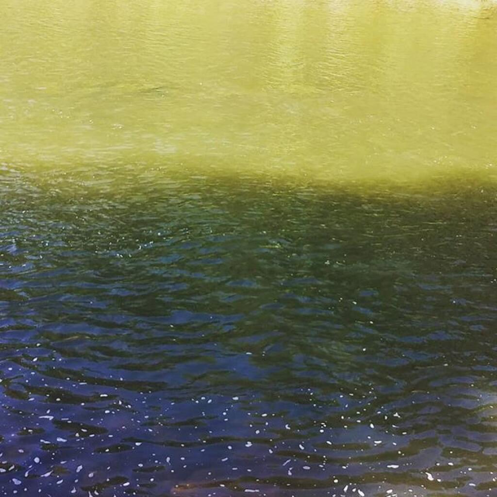 Photo: Lots of water in the Schoharie Creek Photo: Lots of water in the Schoharie Creek