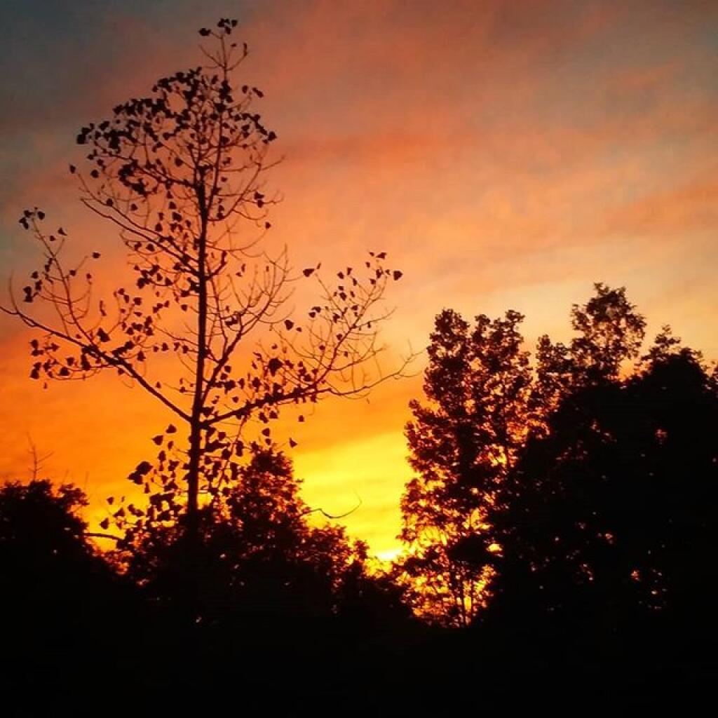 Photo: Fiery Sunset Photo: Fiery Sunset