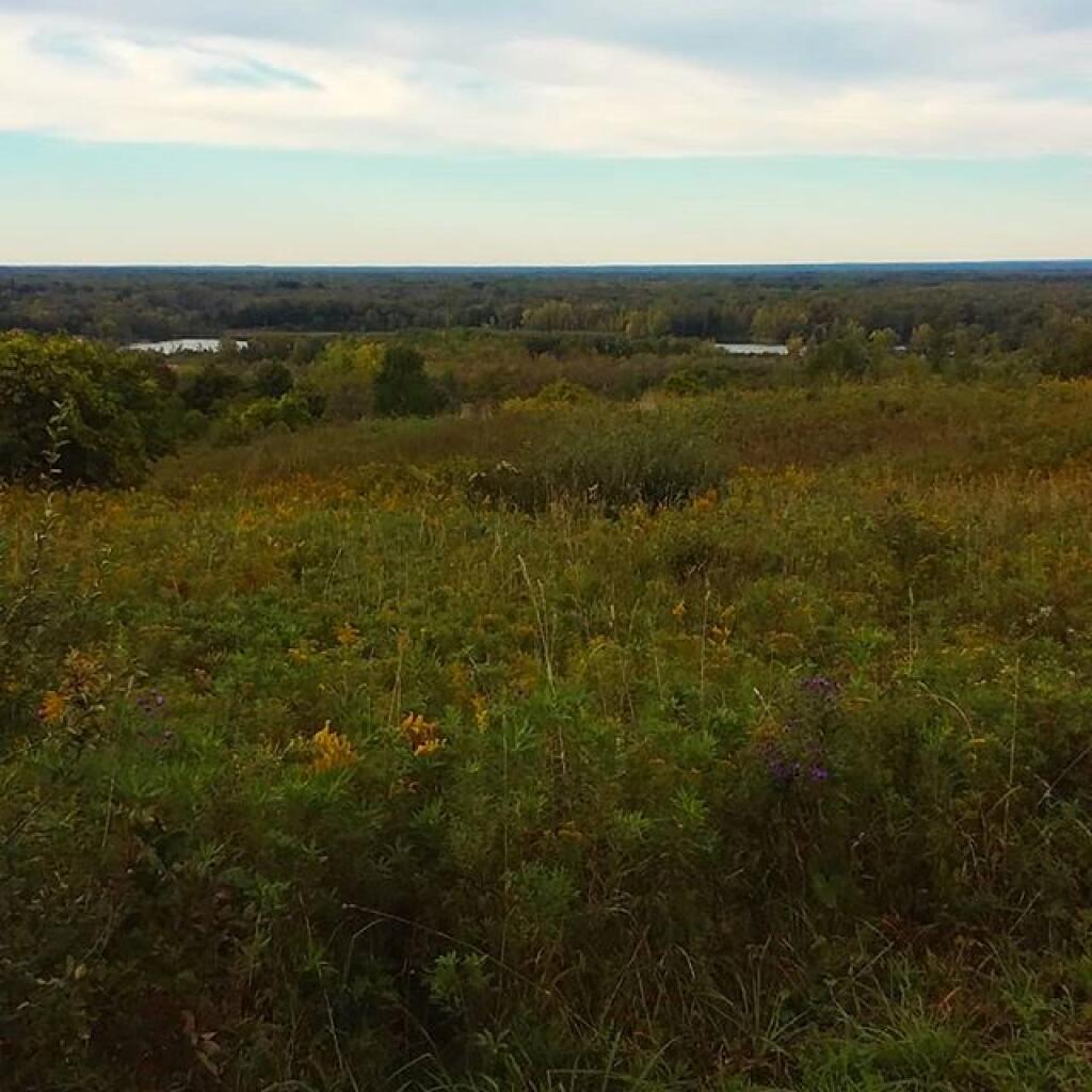 Photo: Oneida Flatlands Photo: Oneida Flatlands