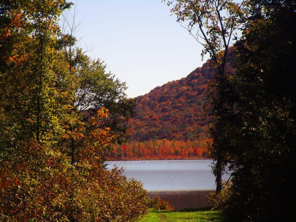 Photo: Labrador Pond From The Trail Photo: Labrador Pond From The Trail