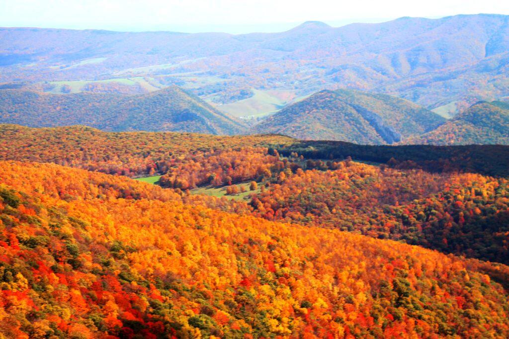 Photo: Colors Off Spruce Mountain Photo: Colors Off Spruce Mountain