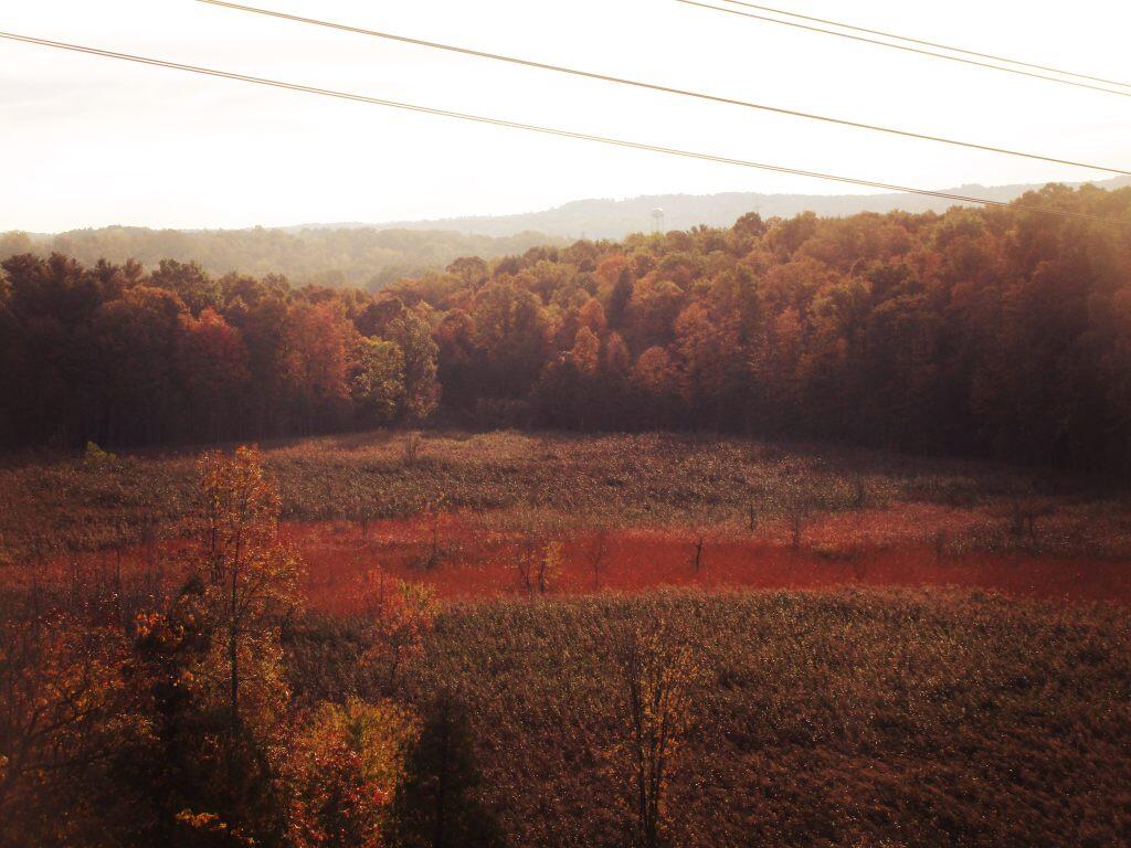 Photo: Wetlands Off Glacial Lake Photo: Wetlands Off Glacial Lake