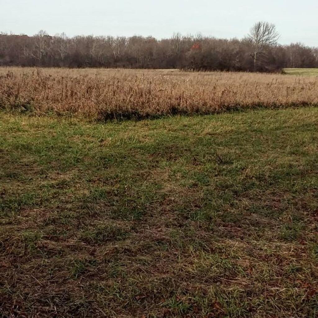 Photo: November