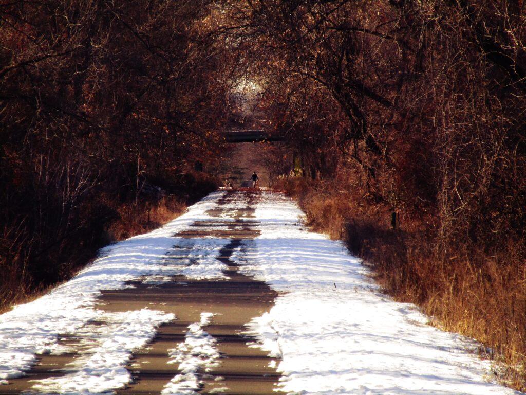 Photo: Dog Walker Photo: Dog Walker
