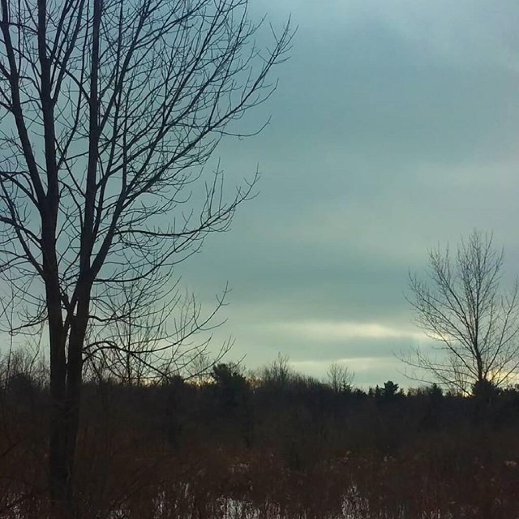 Photo: Afternoon Photo: Afternoon