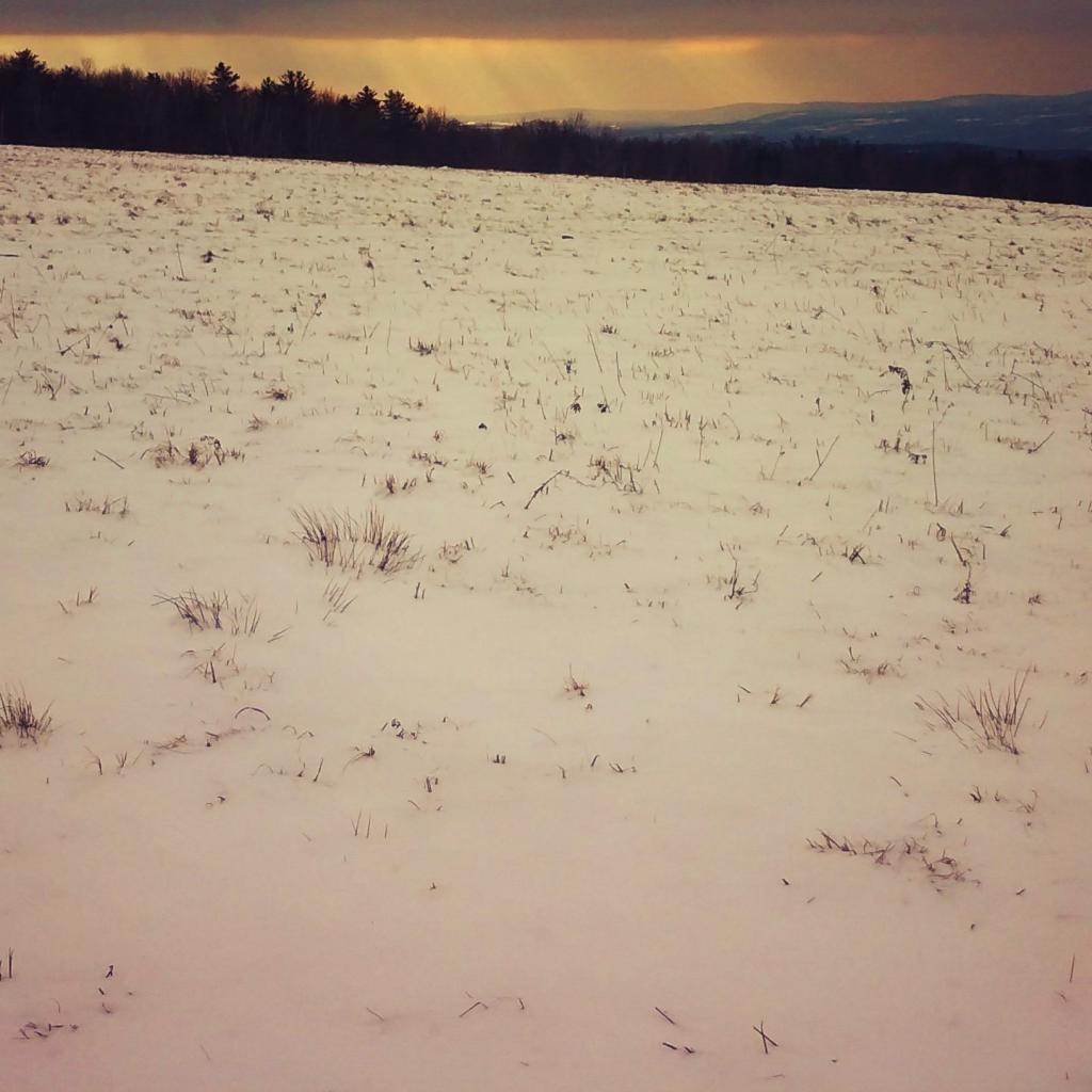 Photo: Had sun to the south Photo: Had sun to the south