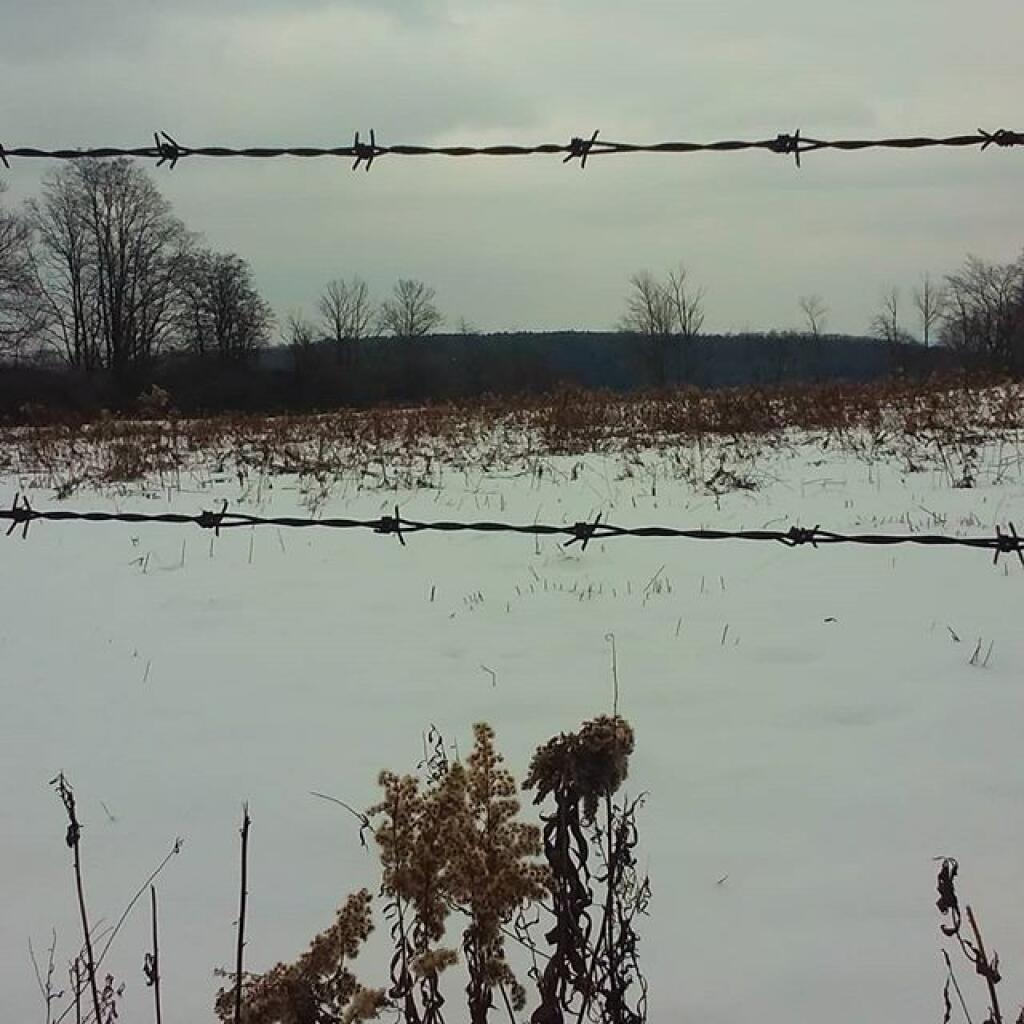 Photo: Barbed wire Photo: Barbed wire
