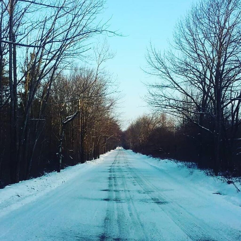 Photo: Sander came through this morning Photo: Sander came through this morning