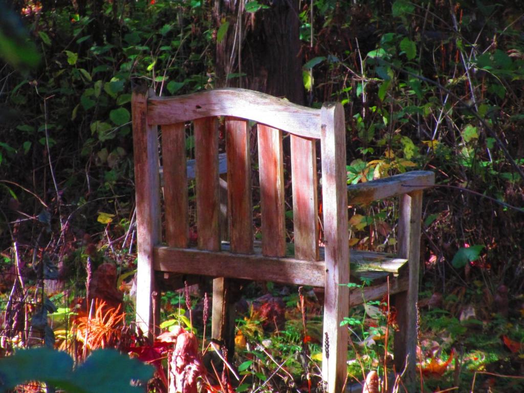 Photo: Chair [Expires November 1 2026]