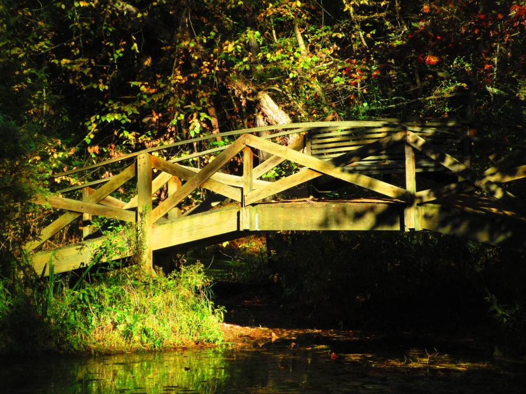 Photo: Bridge [Expires November 1 2026]