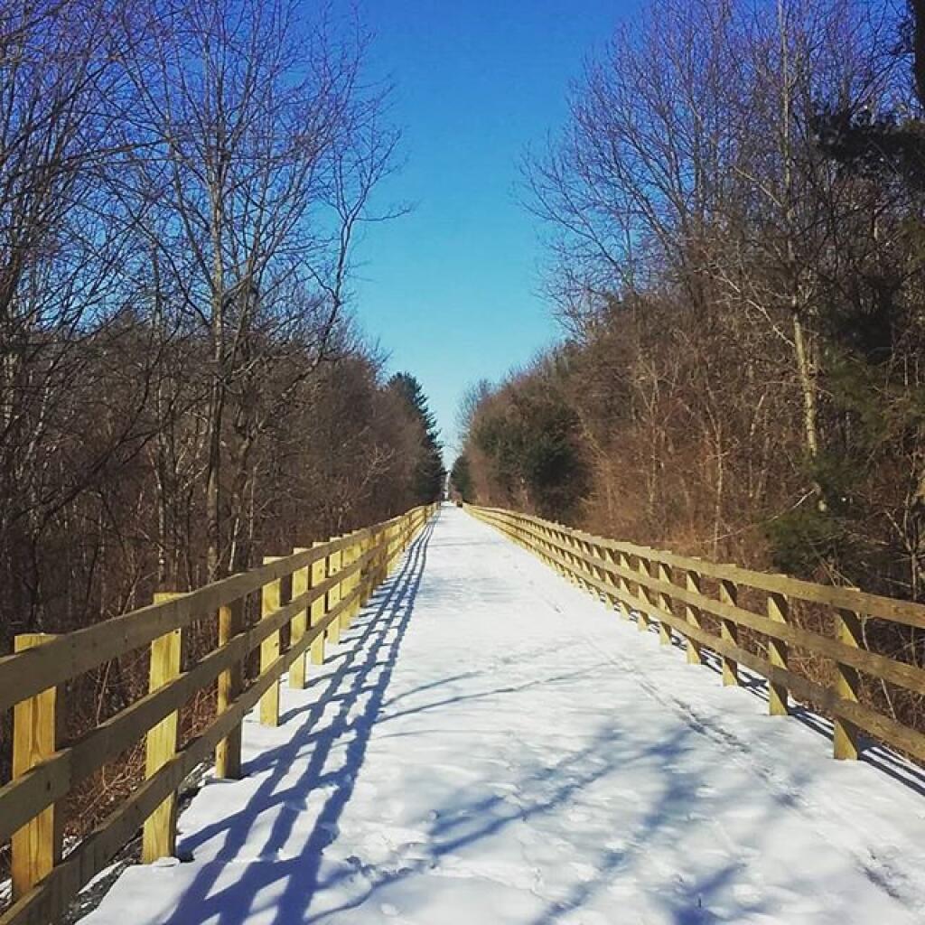 Photo: Walked more of the rail trail today Photo: Walked more of the rail trail today