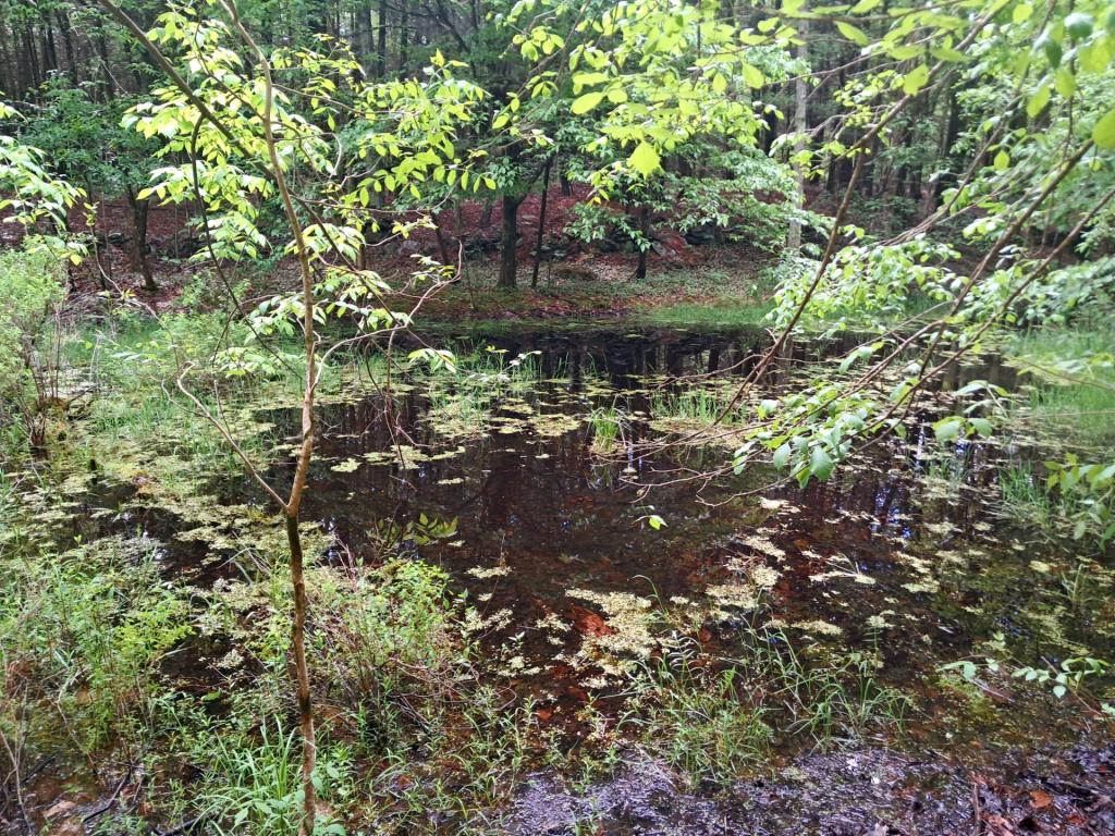 Photo: Untitled Photo: Untitled