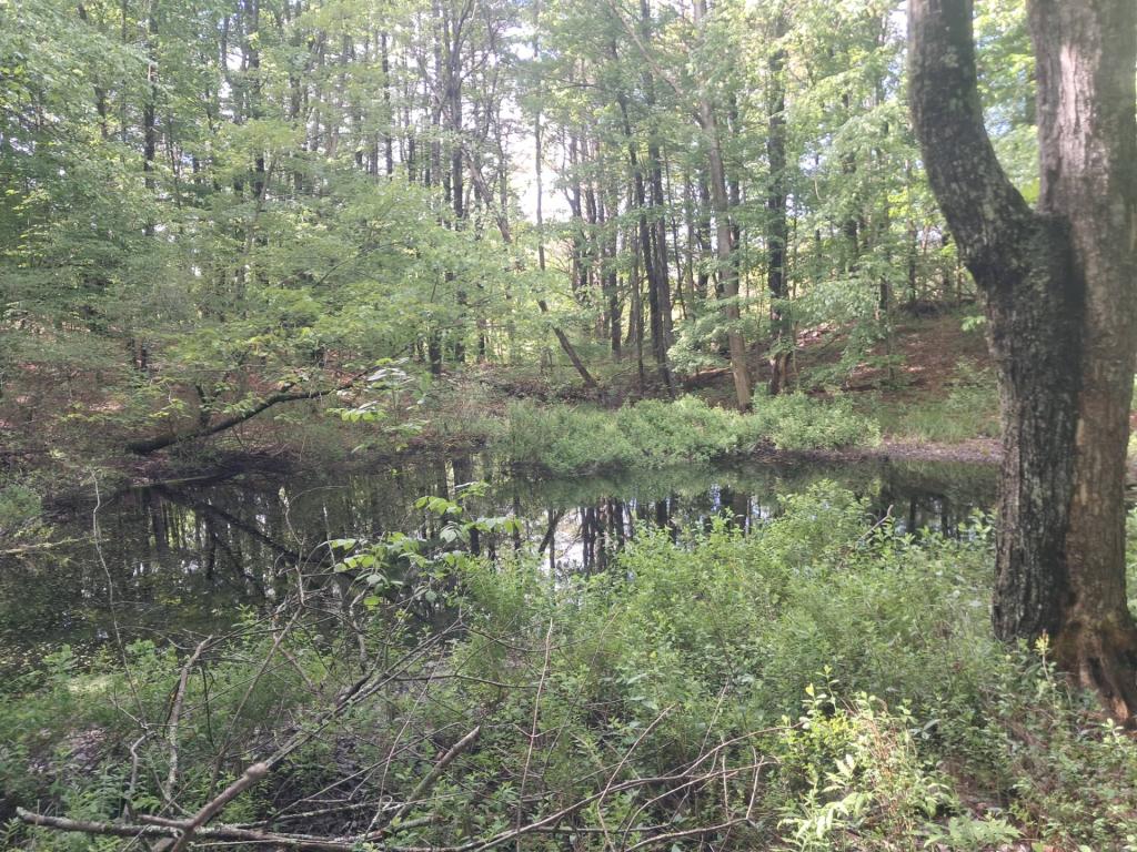 Photo: Untitled Photo: Untitled