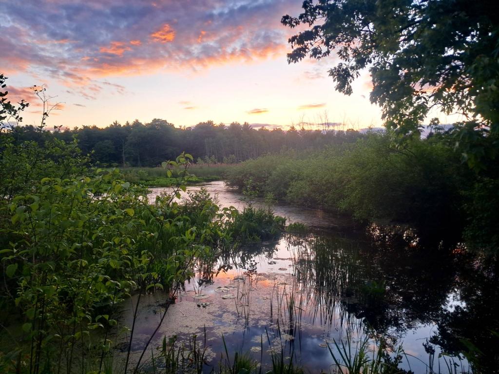 Photo: Evening [Expires June 11 2026]