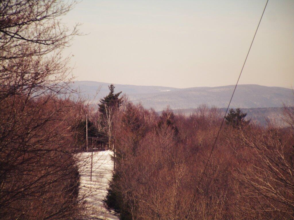 Photo: Power Line