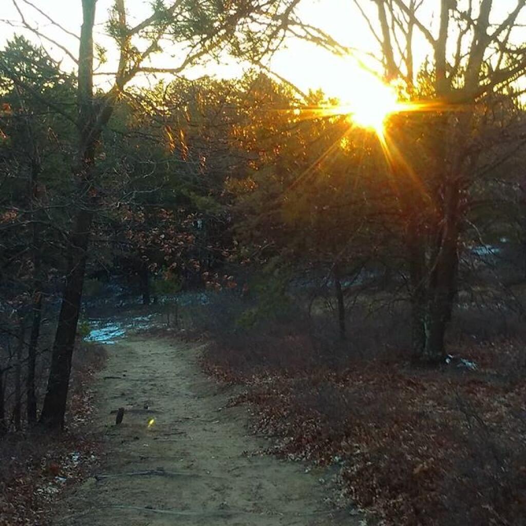Photo: Cold evening for a walk Photo: Cold evening for a walk