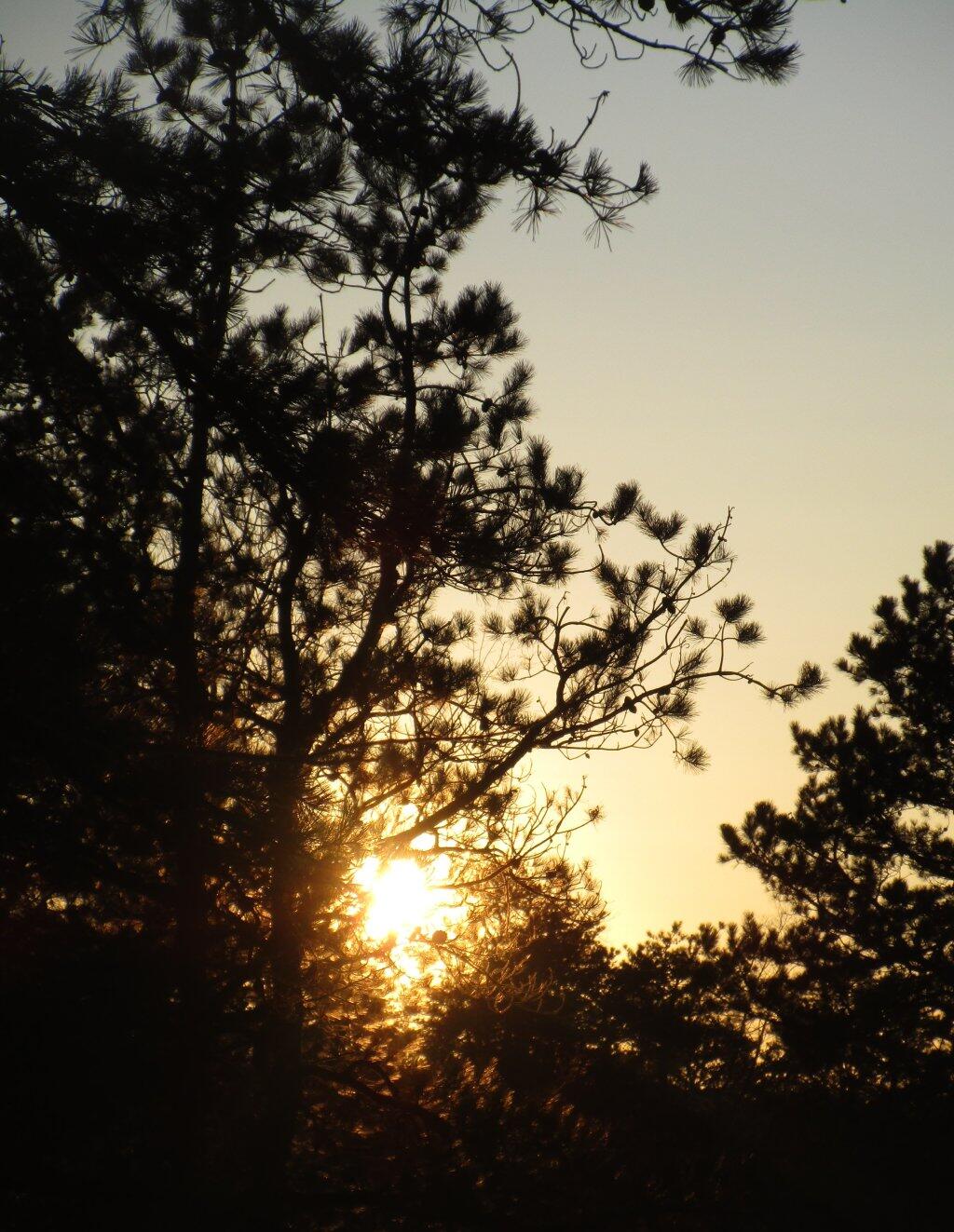 Photo: Piney Sunset Photo: Piney Sunset
